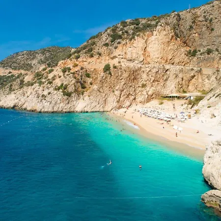 فيلة Melek Paradise *