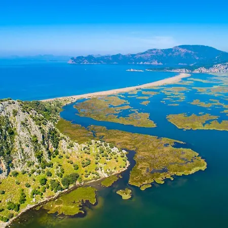 Melek Paradise فيلة