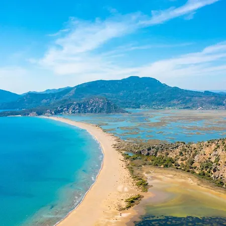 فيلة Melek Paradise *